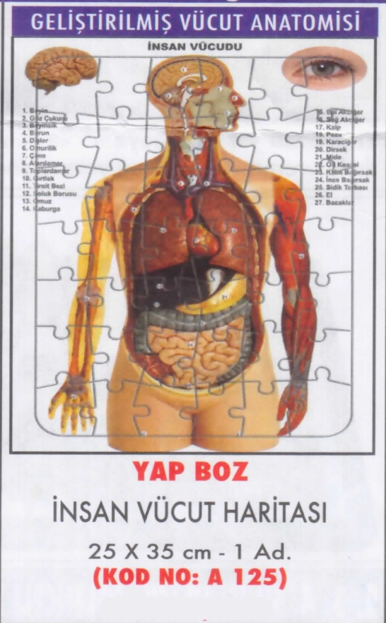 Gelişmiş Vücut Anatomisi Yap-Boz. Fiyatı: 4tL Kod No: A125 Gelişmiş Vücut Anatomisi Yap-Boz. Fiyatı: 4tL Kod No: A125